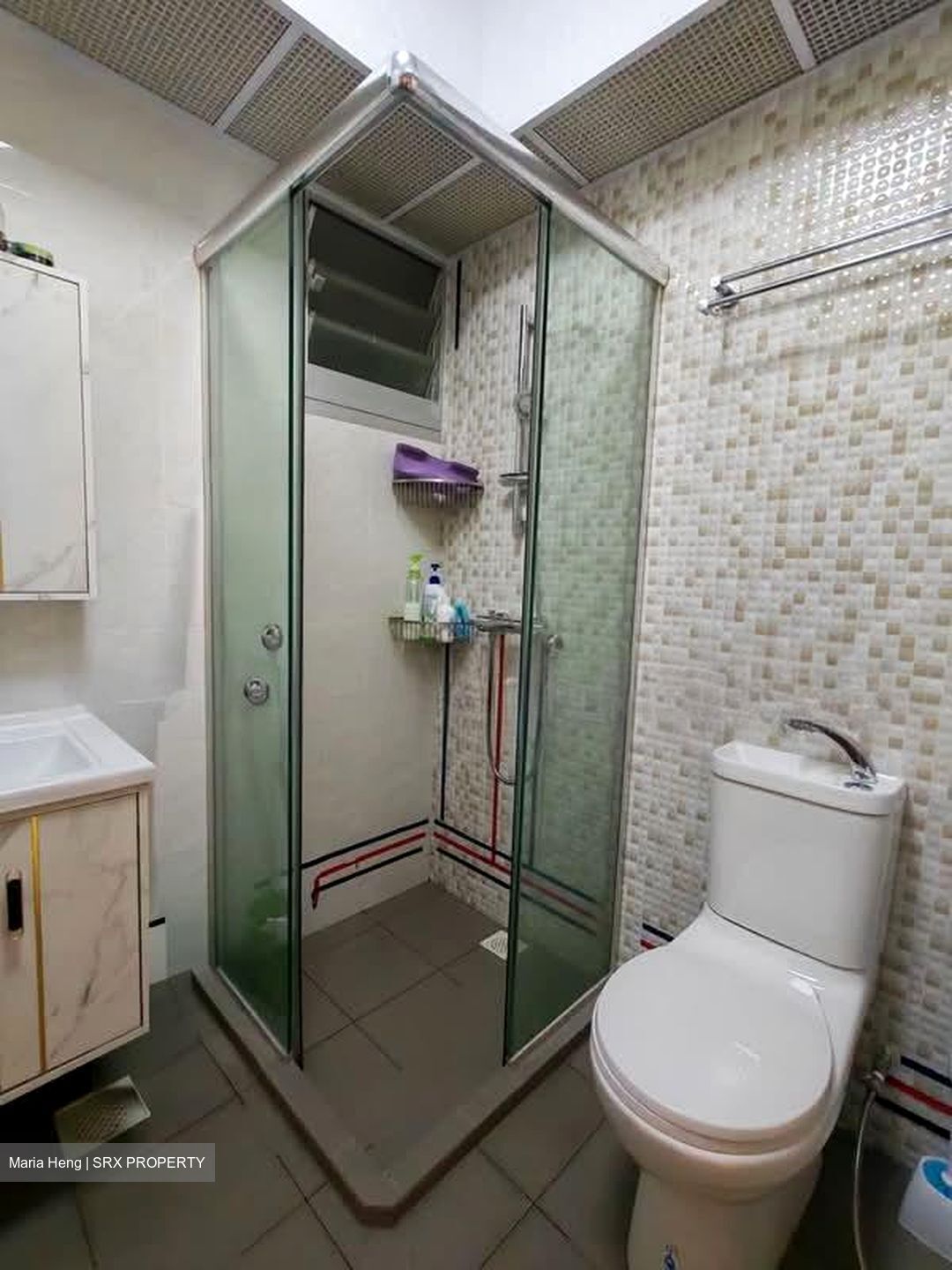 Blk 229B Matilda Sundeck (Punggol), HDB 5 Rooms #603514371